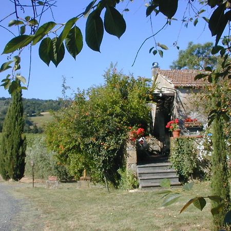 Piccolo Sole Βίλα Montescudaio Εξωτερικό φωτογραφία