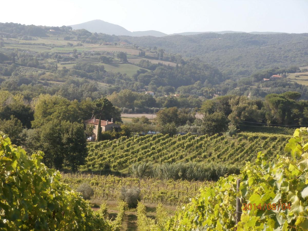 Piccolo Sole Βίλα Montescudaio Εξωτερικό φωτογραφία