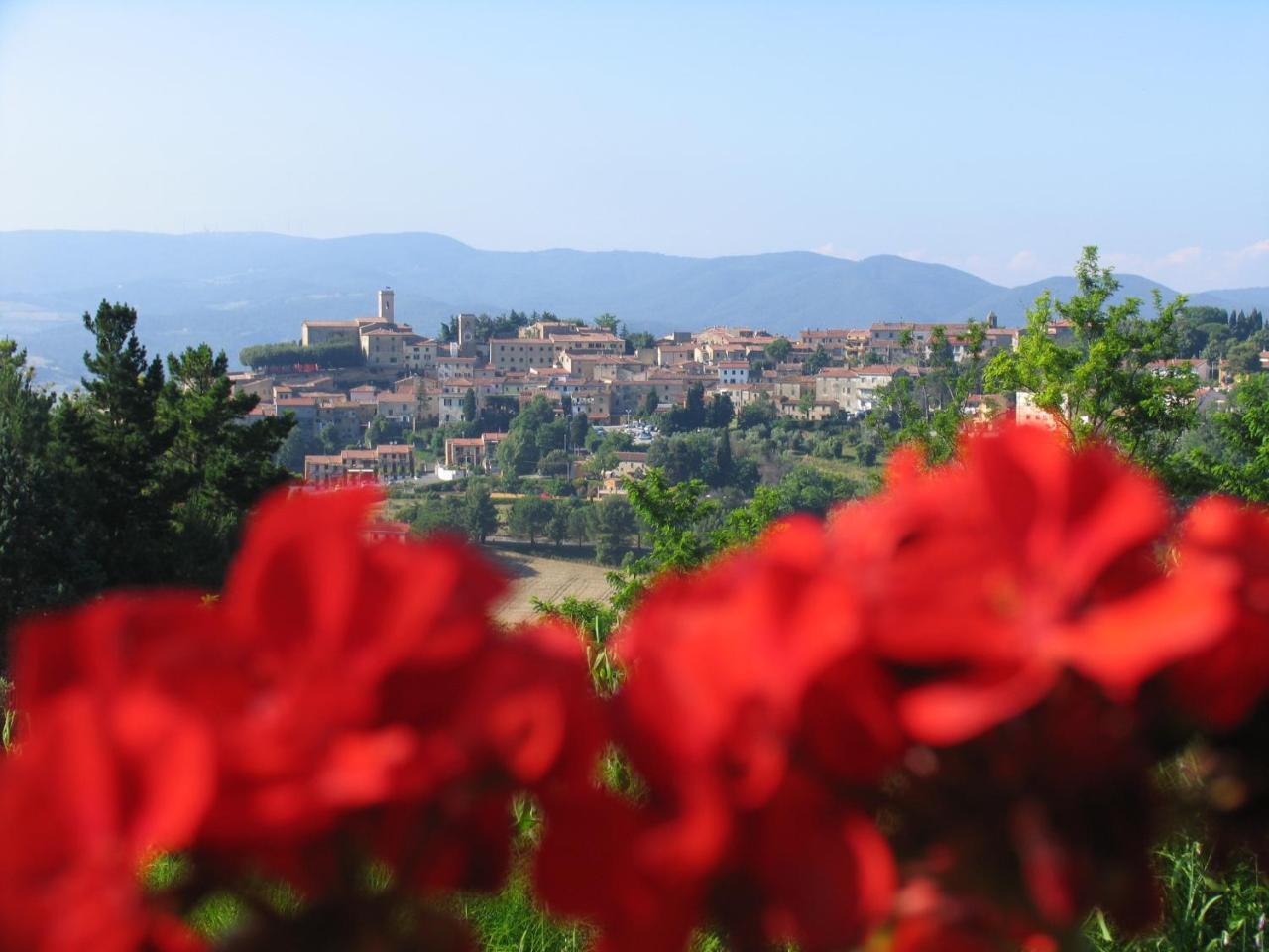 Piccolo Sole Βίλα Montescudaio Εξωτερικό φωτογραφία