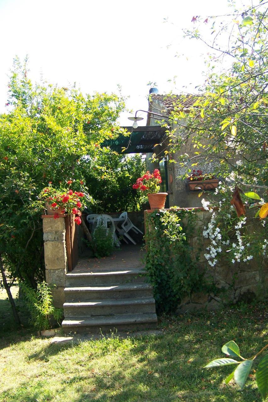 Piccolo Sole Βίλα Montescudaio Εξωτερικό φωτογραφία